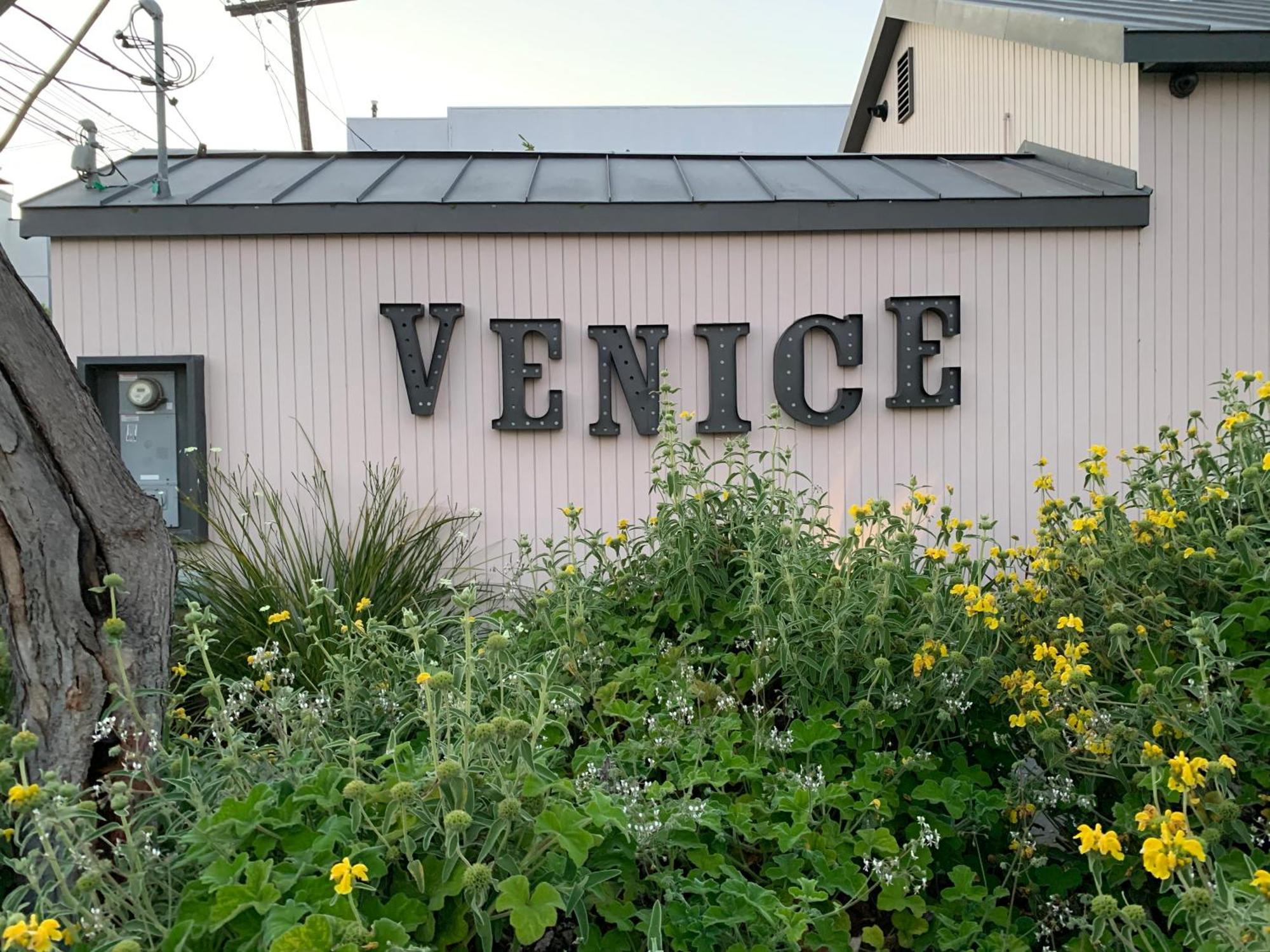 Chic Venice Beach Bungalow Steps From The Canals & Beach 洛杉矶 外观 照片
